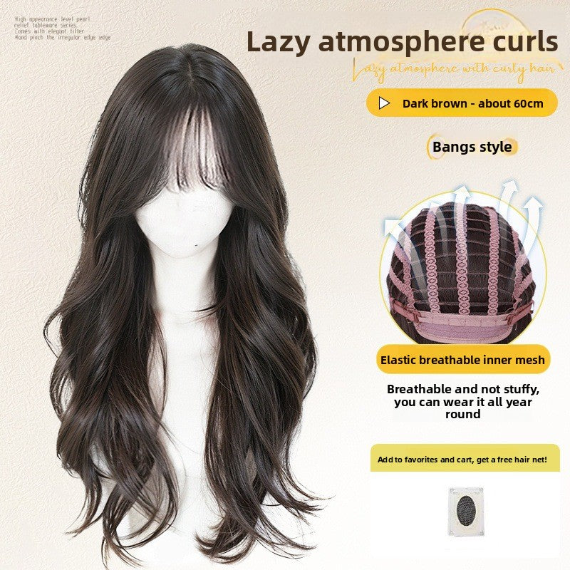 Wig cover