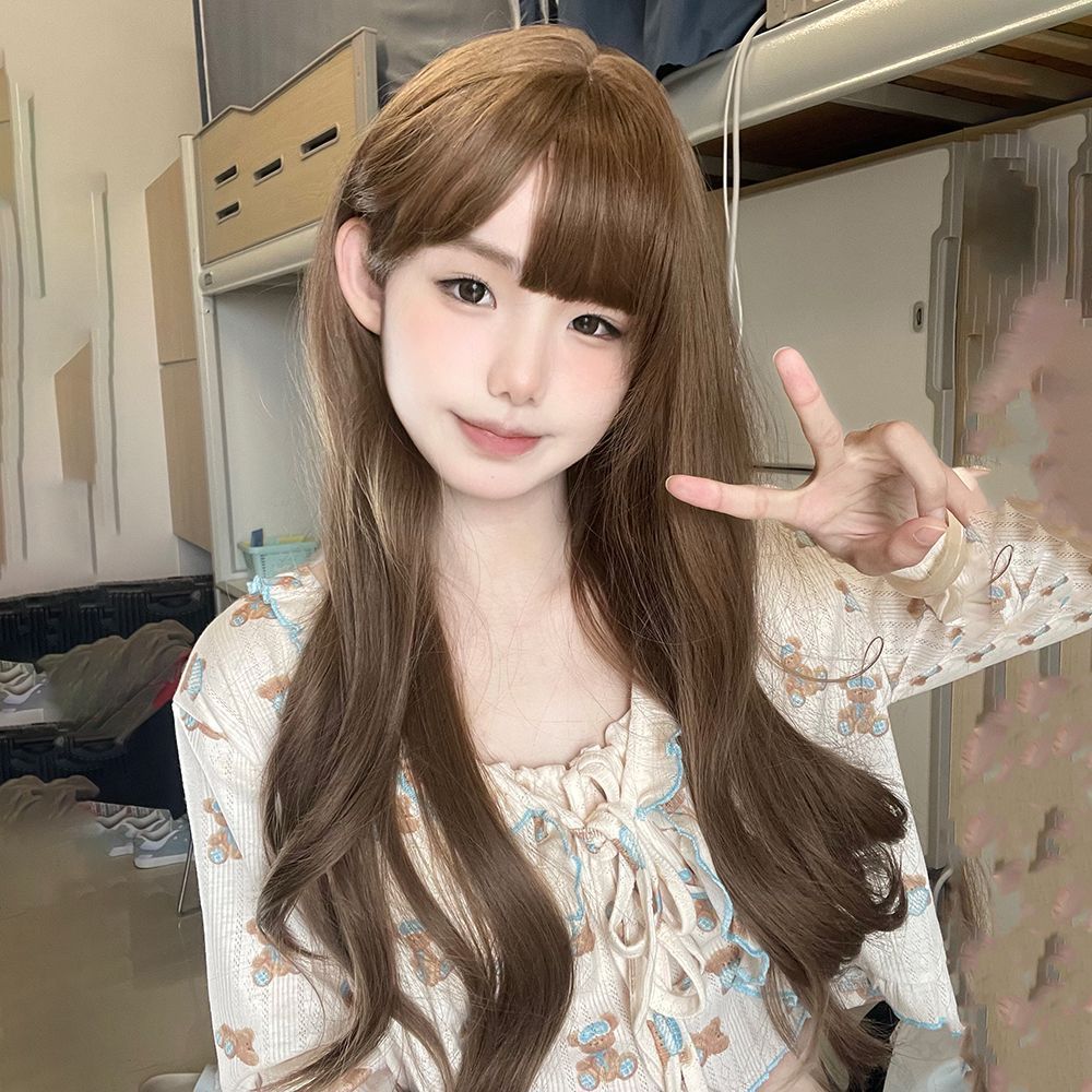 Wig Full Head Cover