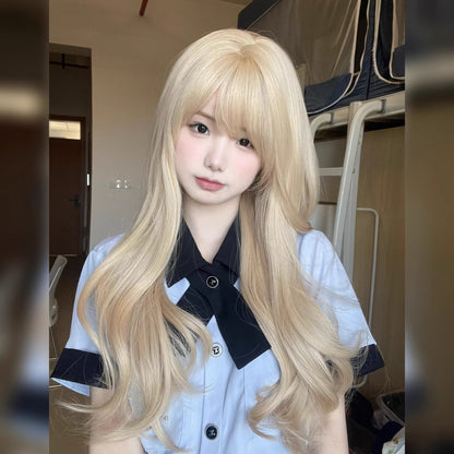 Wig Full Head Cover