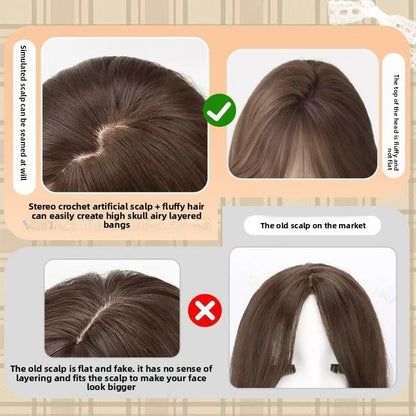 Wig Full Head Cover