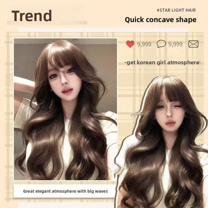 Wig Full Head Cover