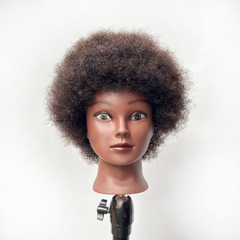 wig head model