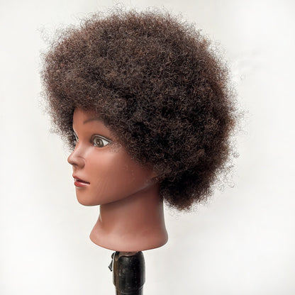 wig head model