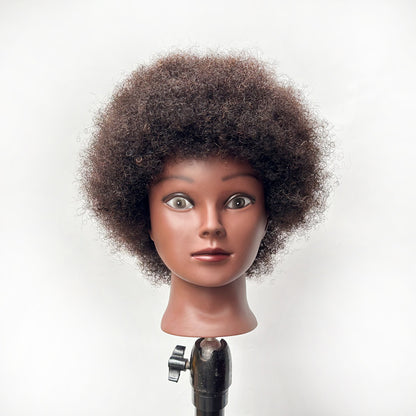 wig head model