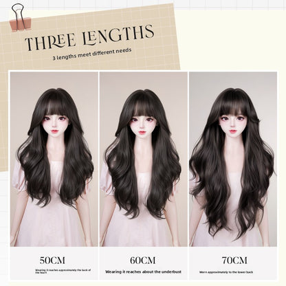 Wig long hair