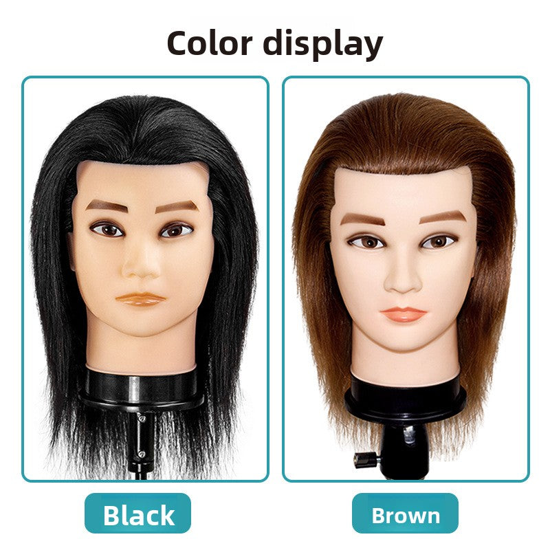 Wig Training Head