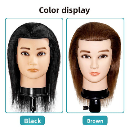 Wig Training Head