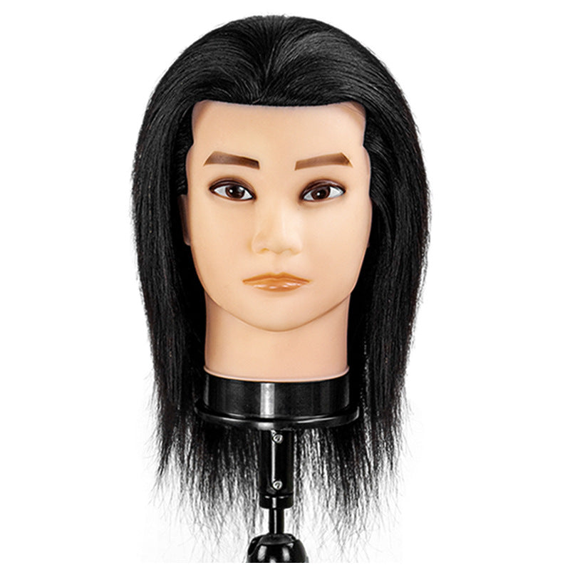Wig Training Head