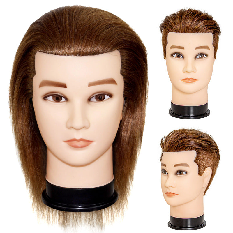 Wig Training Head