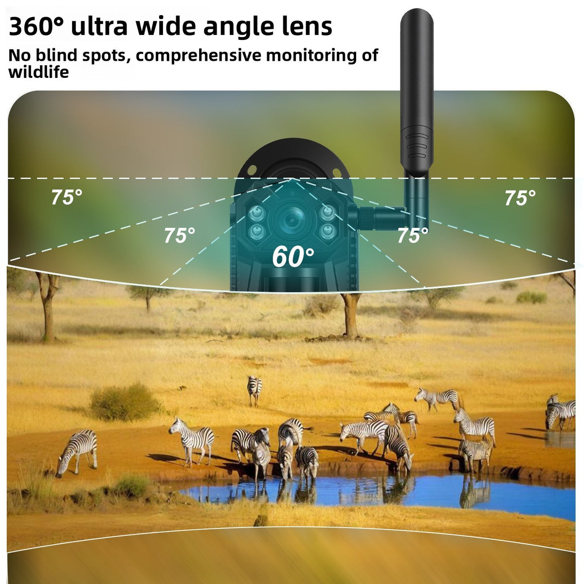 wildlife monitoring camera