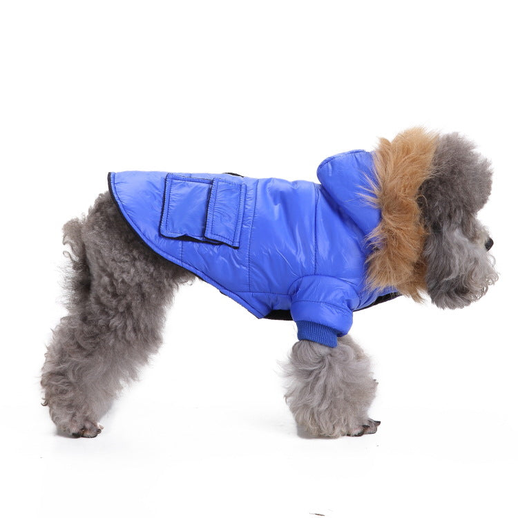 Windproof zippered hooded pet clothing