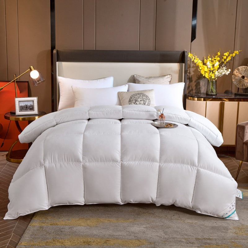 Winter quilt feather velvet quilt silk quilt thickened warm