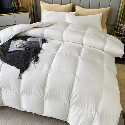 Winter quilt feather velvet quilt silk quilt thickened warm