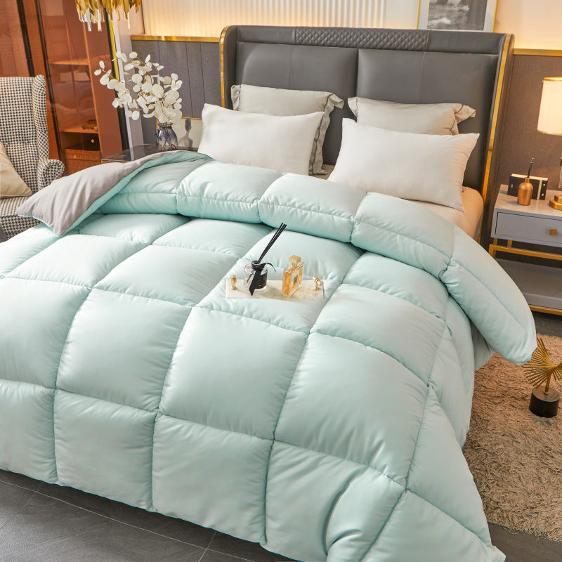 Winter quilt feather velvet quilt silk quilt thickened warm