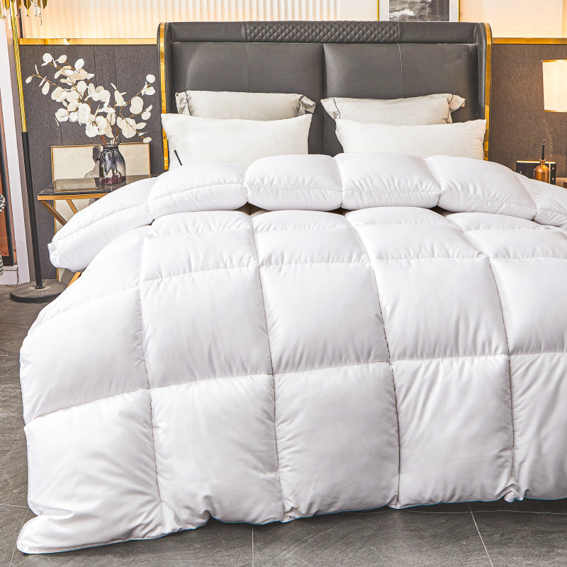 Winter quilt feather velvet quilt silk quilt thickened warm