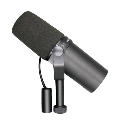 wired dynamic microphone