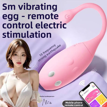 Wireless APP Controlled Vibrator