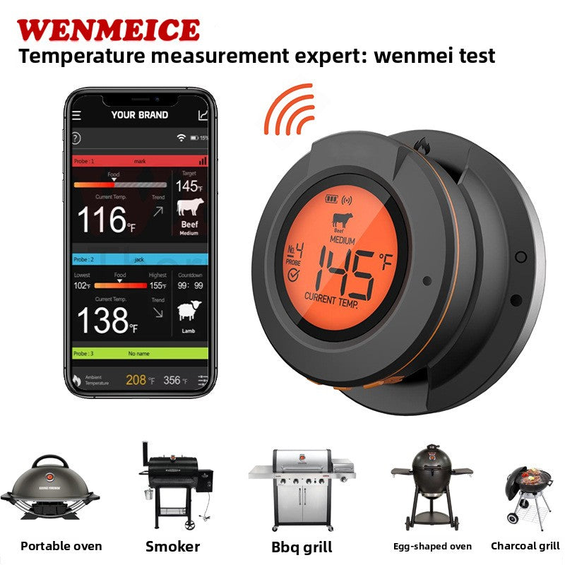 Wireless BBQ Thermometer with Dual Probe