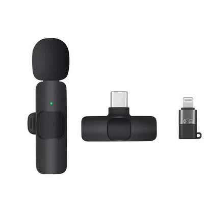 Wireless earpiece microphone