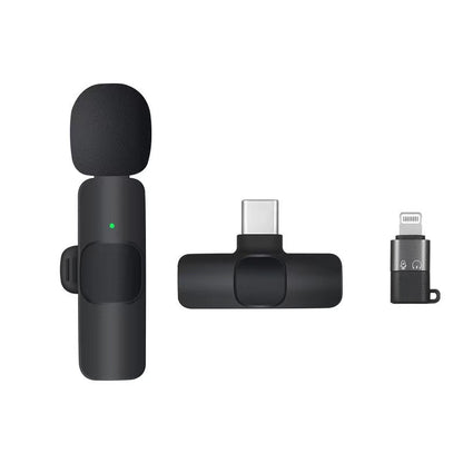 Wireless earpiece microphone