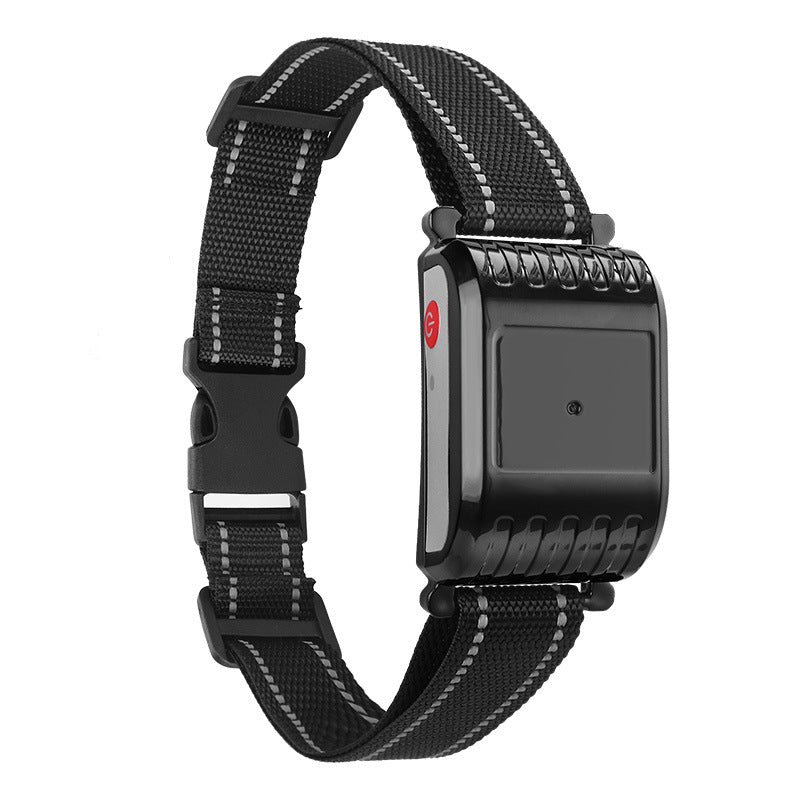 Wireless Electronic Dog Fence Training System