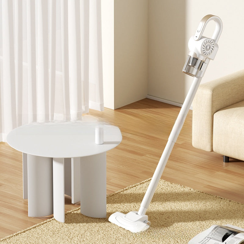 Wireless floor cleaning vacuum cleaner with dust removal function