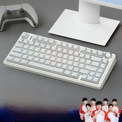 Wireless Mechanical Keyboard with RGB Backlight