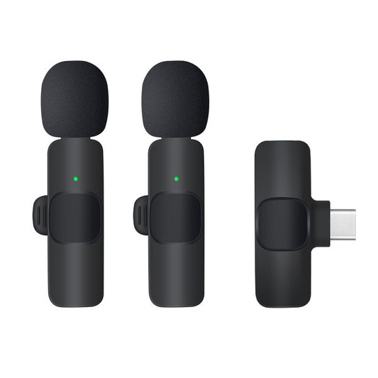 Wireless Microphone System