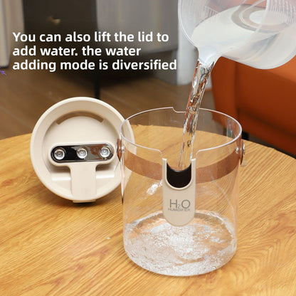 Wireless portable humidifier