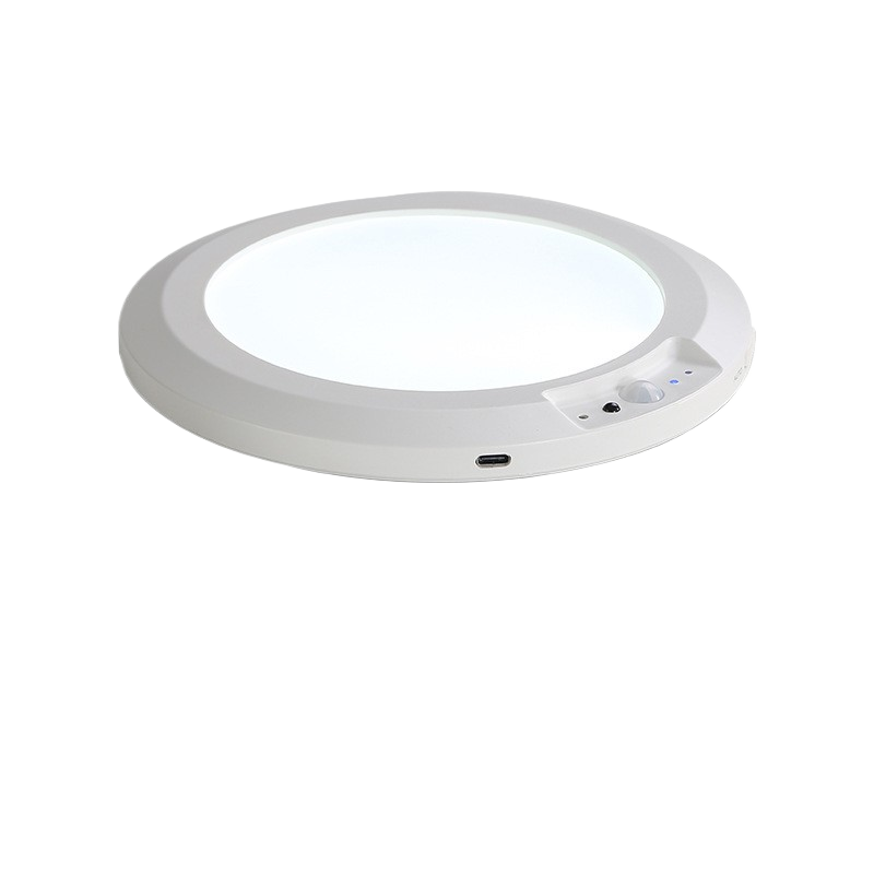 Wireless Sensor Ceiling Lamp with Remote Control