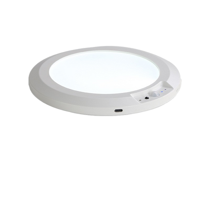 Wireless Sensor Ceiling Lamp with Remote Control