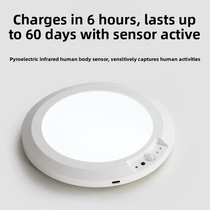 Wireless Sensor Ceiling Lamp with Remote Control
