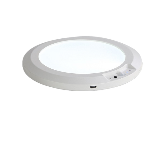 Wireless Sensor Ceiling Lamp with Remote Control
