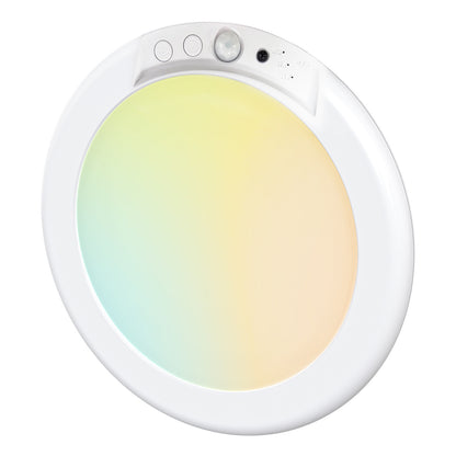 Wireless Sensor Ceiling Light with Remote Control