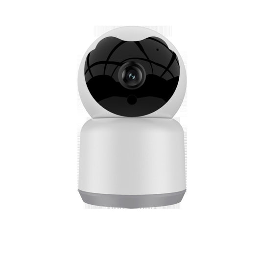 Wireless surveillance graffiti camera