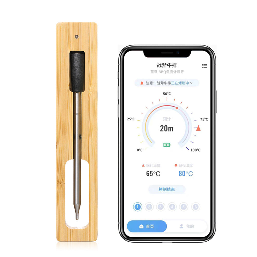 Wireless Thermometer Probe