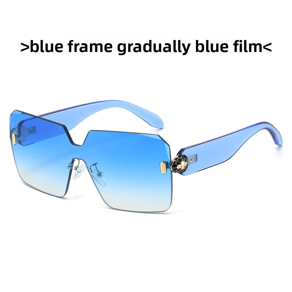 Women Fashion Square Sunglasses