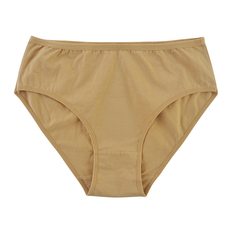 Women's Cotton High Waist Briefs