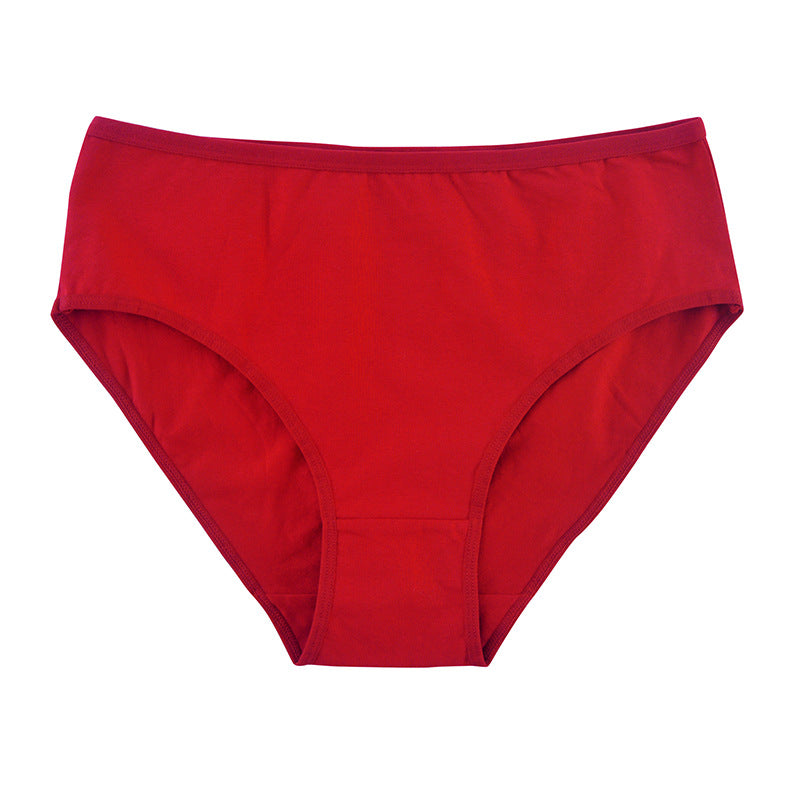Women's Cotton High Waist Briefs