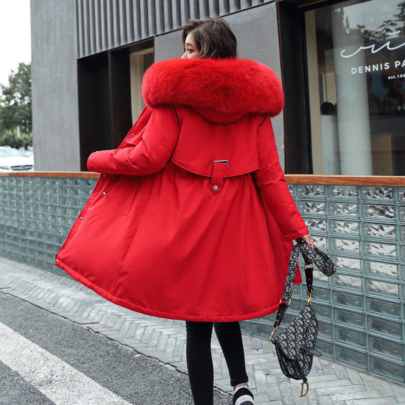 Women's Cotton Jacket