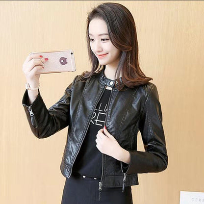 Women's Jacket