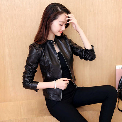 Women's Jacket