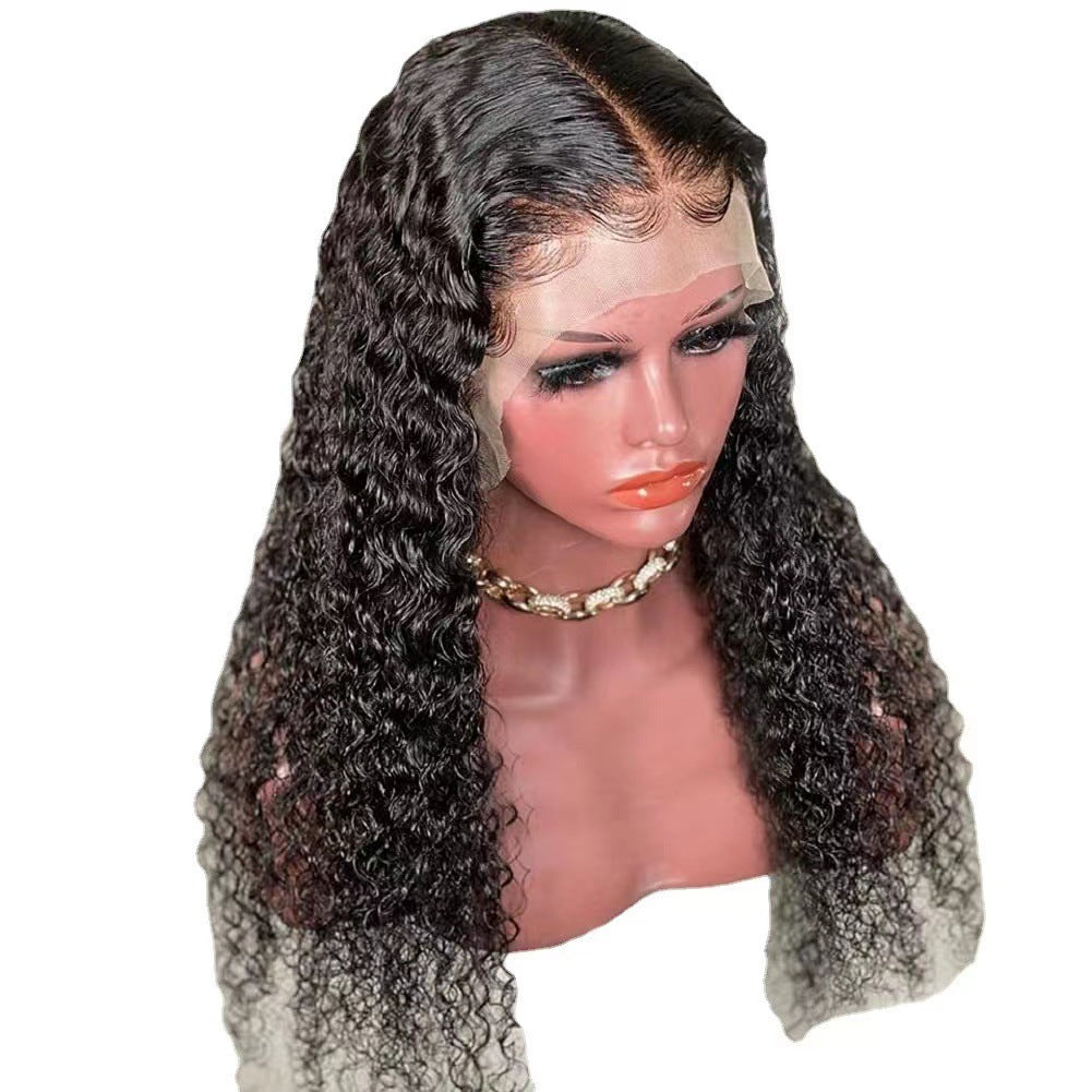 Women's Lace Front Synthetic Curly Wig