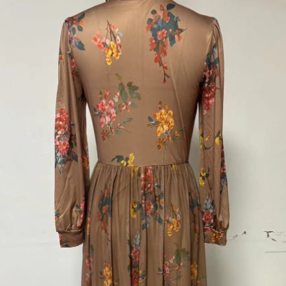 Women's Long Sleeve V-Neck Floral Print Dress