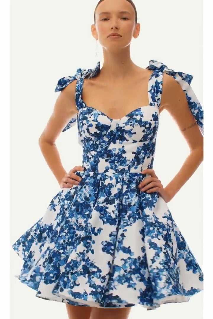 Women's Printed Chiffon A-Line Dress