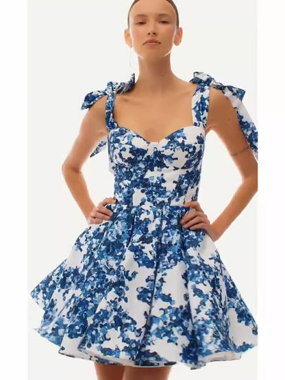 Women's Printed Chiffon A-Line Dress