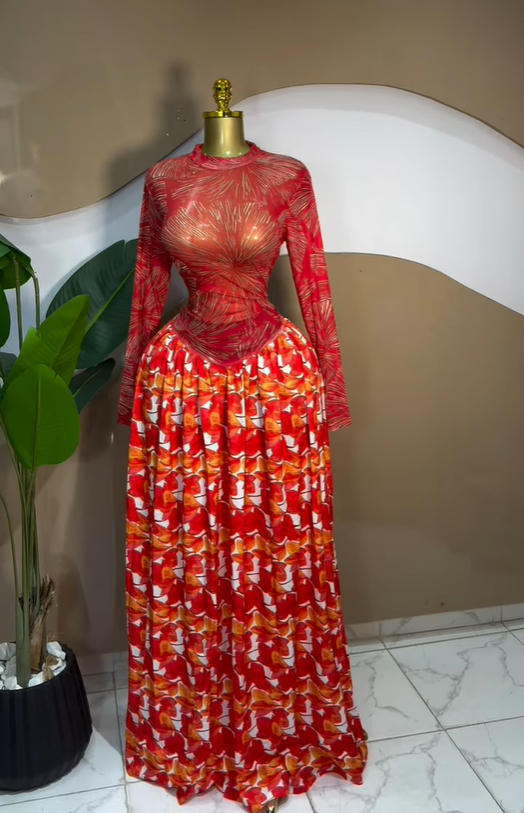 Women's Printed Mesh Pleated Long Dress