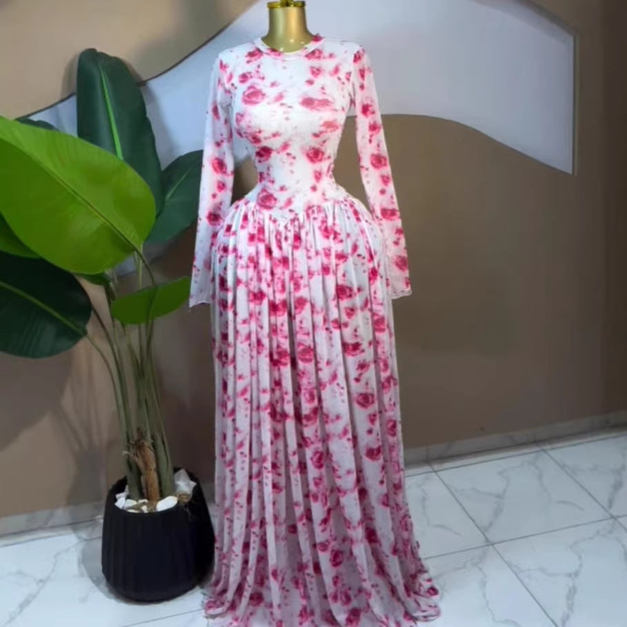 Women's Printed Mesh Pleated Long Dress
