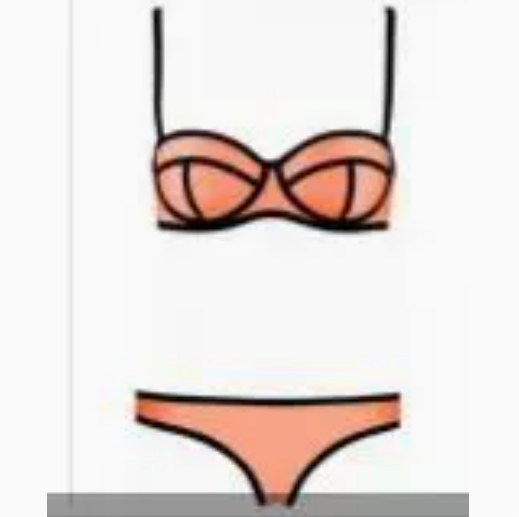 Womens Bikini