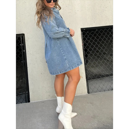 Womens Denim Dress